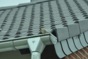 Barrow Valley Roofing 4