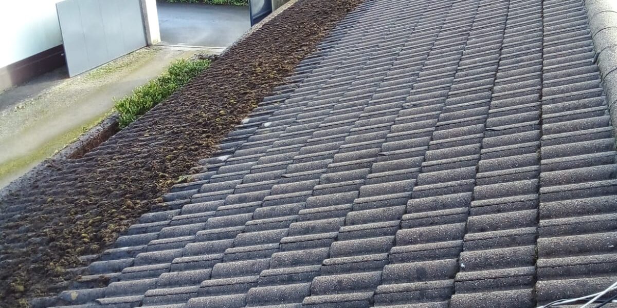 Roof Cleaners Wexford