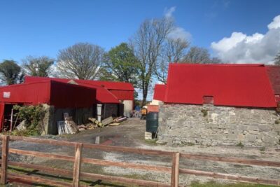 farm-shed-painting-carlow (29)