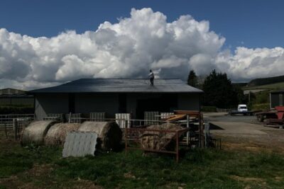 farm-shed-painting-carlow (47)